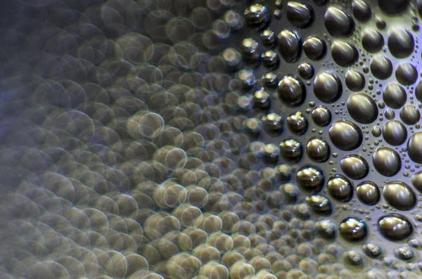 Gliserin ve su ile deneyler