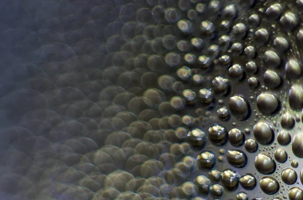 Gliserin ve su ile deneyler