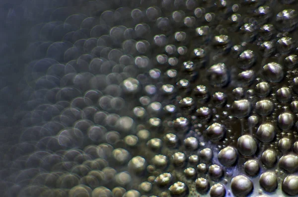 Gliserin ve su ile deneyler