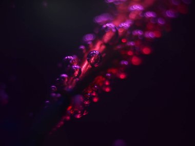 Gliserin ve su ile deneyler