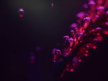 Gliserin ve su ile deneyler