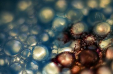 Gliserin ve su ile deneyler