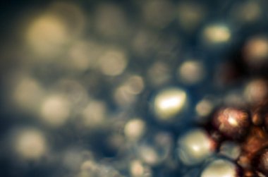 Gliserin ve su ile deneyler