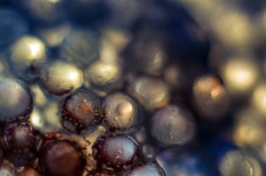 Gliserin ve su ile deneyler