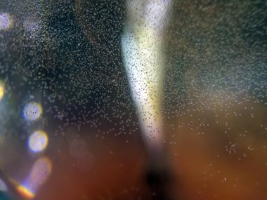 Gliserin ve su ile deneyler