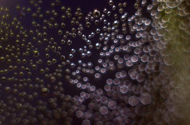 Gliserin ve su ile deneyler