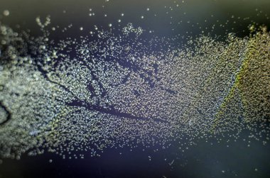 Gliserin ve su ile deneyler