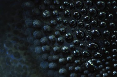 Gliserin ve su ile deneyler