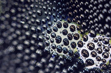 Gliserin ve su ile deneyler