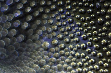 Gliserin ve su ile deneyler