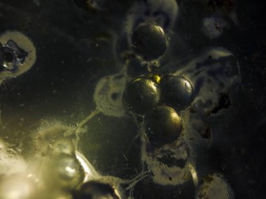 Gliserin ve su ile deneyler