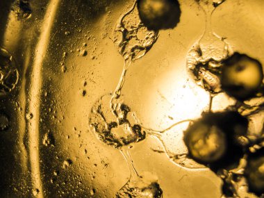 Gliserin ve su ile deneyler