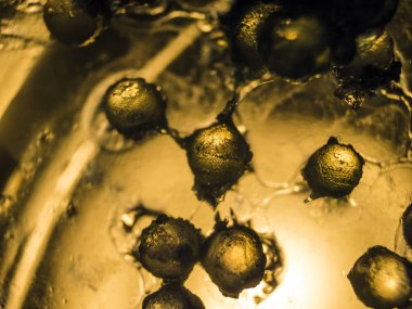 Gliserin ve su ile deneyler