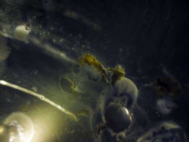 Gliserin ve su ile deneyler