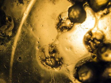 Gliserin ve su ile deneyler