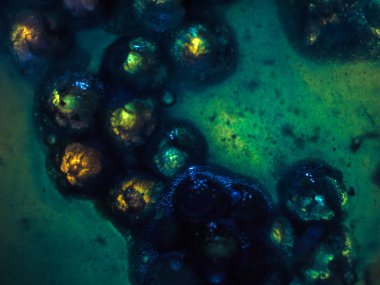 Gliserin ve su ile deneyler