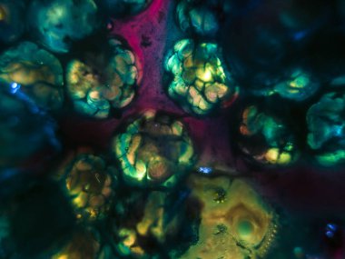 Gliserin ve su ile deneyler