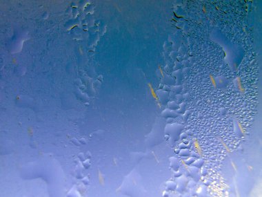 Gliserin ve su ile deneyler