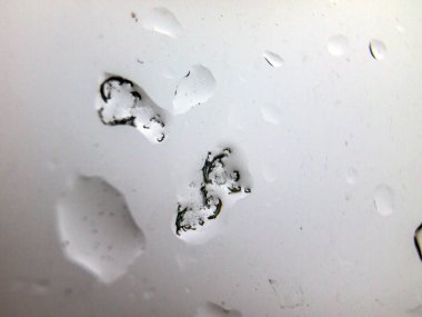 Gliserin ve su ile deneyler