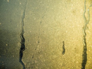 Gliserin ve su ile deneyler