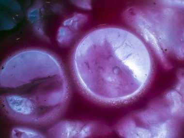 Gliserin ve su ile deneyler