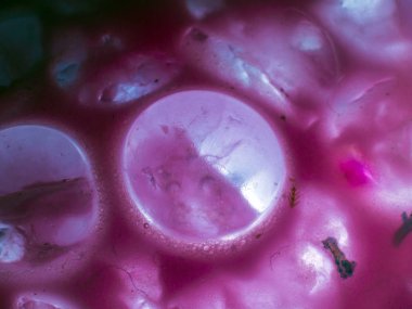 Gliserin ve su ile deneyler