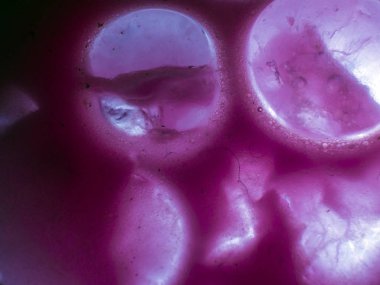 Gliserin ve su ile deneyler