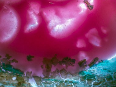 Gliserin ve su ile deneyler