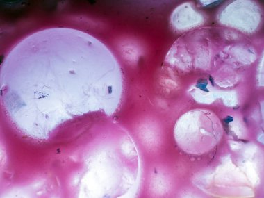 Gliserin ve su ile deneyler