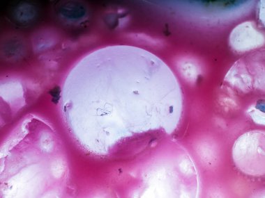 Gliserin ve su ile deneyler