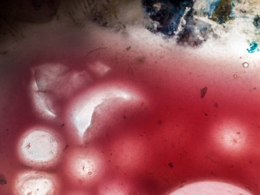 Gliserin ve su ile deneyler