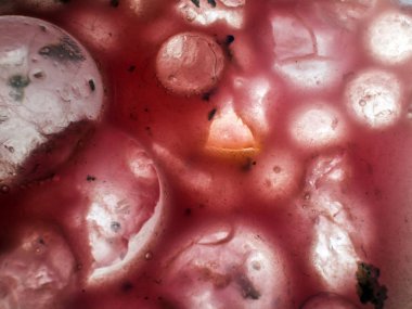 Gliserin ve su ile deneyler