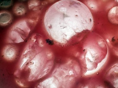 Gliserin ve su ile deneyler