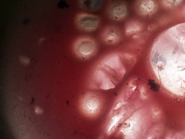 Gliserin ve su ile deneyler