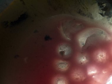 Gliserin ve su ile deneyler