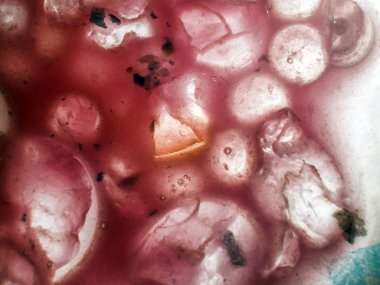 Gliserin ve su ile deneyler