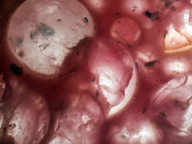 Gliserin ve su ile deneyler