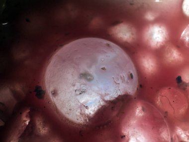 Gliserin ve su ile deneyler