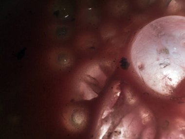 Gliserin ve su ile deneyler