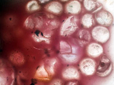 Gliserin ve su ile deneyler