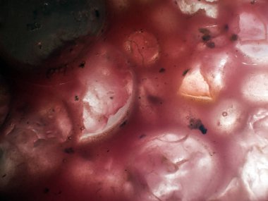 Gliserin ve su ile deneyler