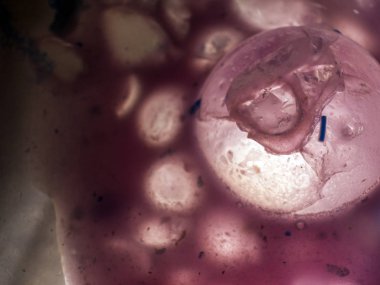 Gliserin ve su ile deneyler