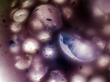 Gliserin ve su ile deneyler