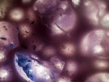 Gliserin ve su ile deneyler