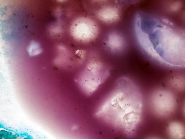 Gliserin ve su ile deneyler