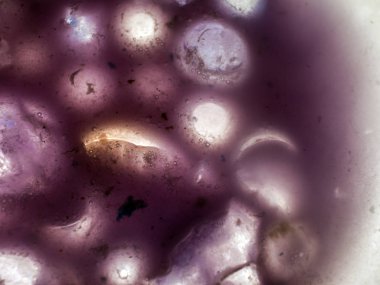 Gliserin ve su ile deneyler