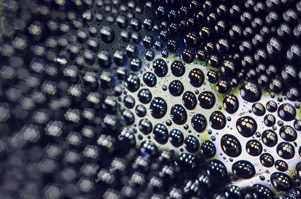 Gliserin ve su ile deneyler