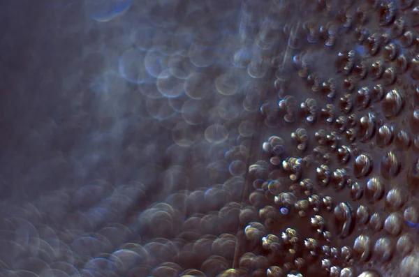 Gliserin ve su ile deneyler