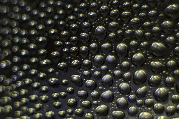 Gliserin ve su ile deneyler