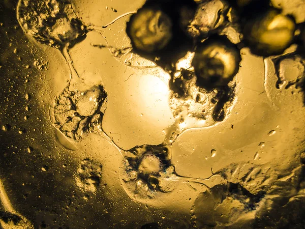 Gliserin ve su ile deneyler